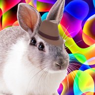 theperfectwabbit