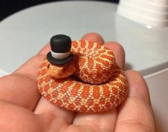 MrSnek