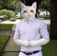 lord nothing