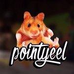 pointyeel