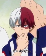 Shoto Todoroki