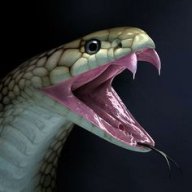 Snakularity