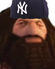 PS1Hagrid