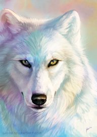 Werewolfgirl210