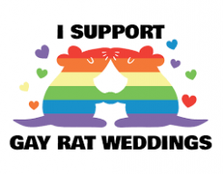 6 Gay Rats