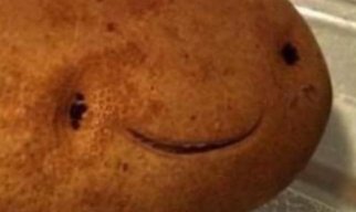 PotatoThePhil