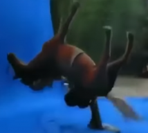 asgabriel