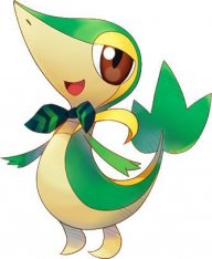 Snivy