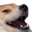 Jermudi