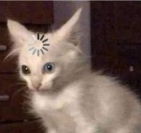 m3f4