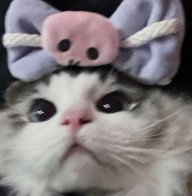 Raiqw