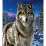 WhiteFang070