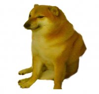 zWaka