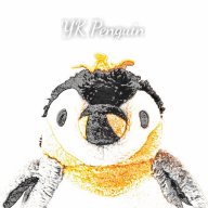 YK_Penguin