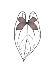 Xayao