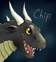 Chipclip