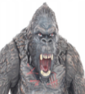 Voggu