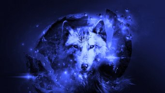 Woloran