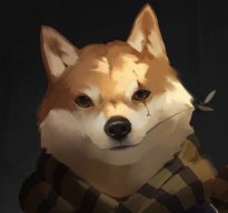 Shibaaaa_