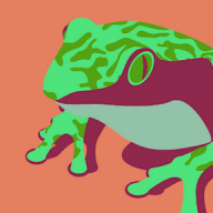 KnightlyFrog