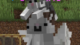 SiouxMC