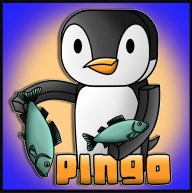 Pingo117