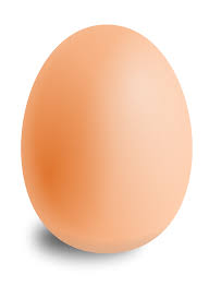 Prof_EGG