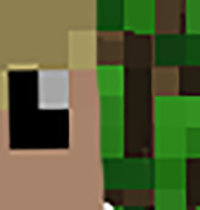 Sander---