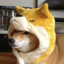 Stycx