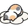 soperlia