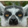 SrLemur