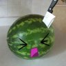 Derpy_Watermelon