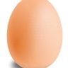 Prof_EGG