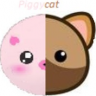 Piggycat