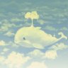 Cloudwhale