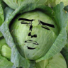 The Cabbage