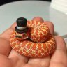 DapperSnek