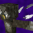 Barnyard_Owl
