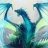 Dragon-