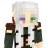 voidsox