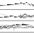 Mixolydian5