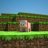 ThePigMan1