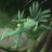 EmeraldSceptile